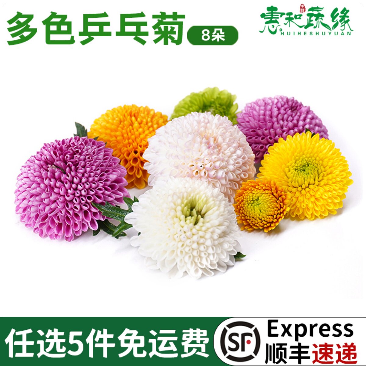 多色乒乓菊新鲜甜品蛋糕摆盘装饰