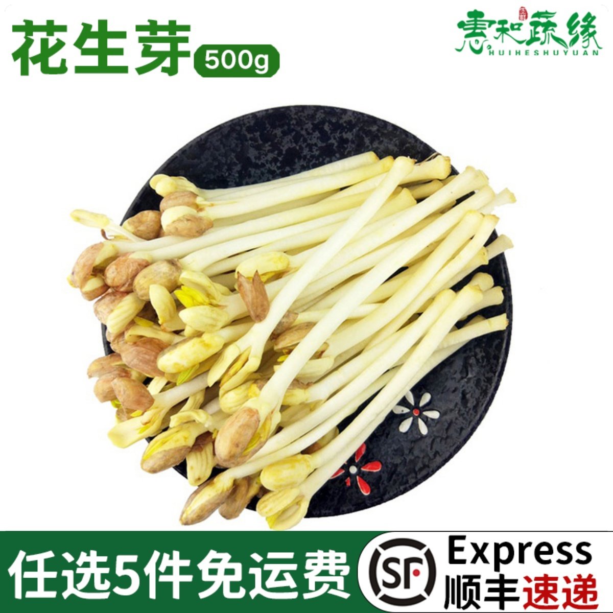 新鲜花生芽家自种蔬菜