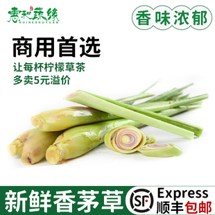 新鲜香茅草柠檬叶泰式冬阴功汤柠檬茶香茅茶食材调味泰国香料菜