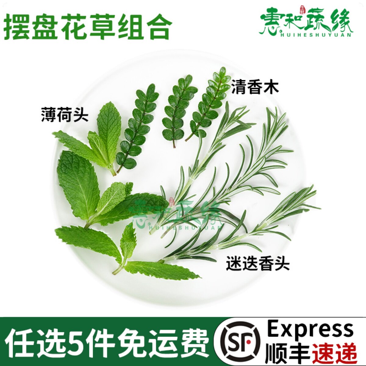 新鲜清香木薄荷头迷迭香头组合西餐酒楼烘焙蛋糕摆盘装饰花草叶子
