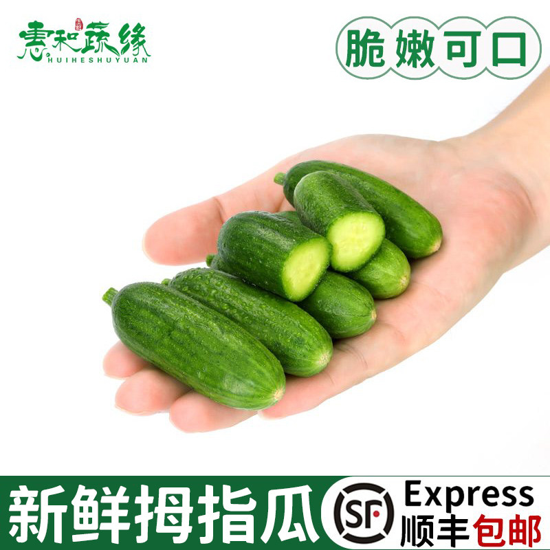 新鲜拇指小黄瓜手指小青瓜脆脆嫩爽口水果瓜生吃无刺不涩口拇指瓜