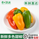 新鲜水果彩椒500g甜椒迷你小辣椒红黄青小彩椒西餐沙拉蔬菜食材