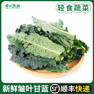 新鲜皱皮甘蓝200g黑宝石羽衣甘蓝亚非皱皮叶甘蓝沙拉蔬菜皱叶菜