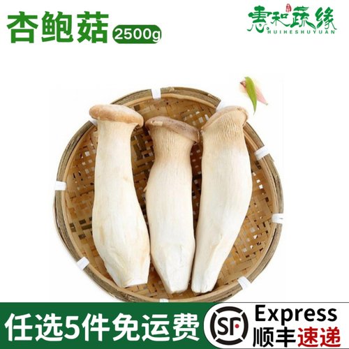 杏鲍菇新鲜食用菌菇火锅煲汤食材