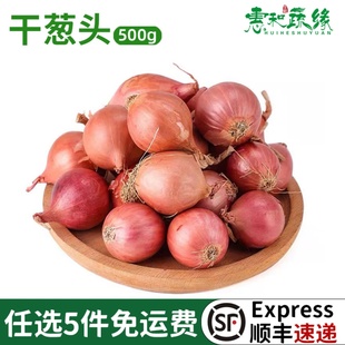 干葱头特香调味调料珠葱红葱头小毛葱头迷你干葱头熬葱油香料酱料