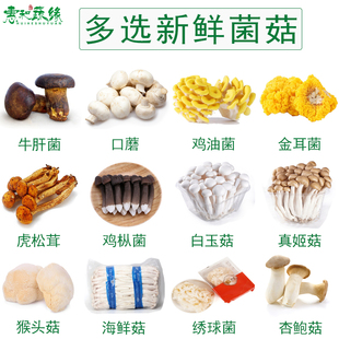 新鲜云南菌菇组合黑牛肝菌鸡枞菌虎松茸口蘑黄金耳煲汤打边炉食材