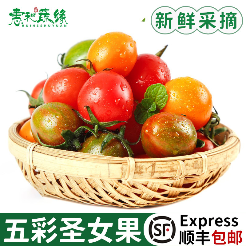 五彩圣女果新鲜小番茄多色圣女果新鲜水果沙拉食蔬菜材摆盘装饰