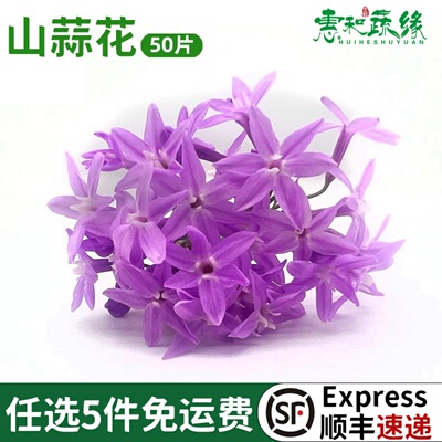 山蒜花新鲜食用花装饰摆盘花草