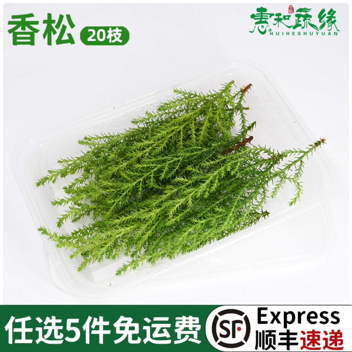 新鲜香松约20支金冠柏西餐酒楼日料饭店摆盘花草蛋糕饮品点缀叶子