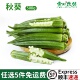 秋葵新鲜蔬菜鲜嫩水果黄秋葵六角羊角豆洋辣椒现摘现发农家 包邮