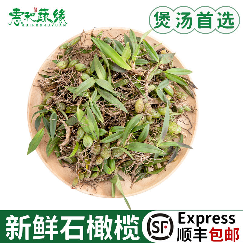 新鲜石橄榄双叶单叶中小果石莲煲汤食材材料石仙桃果上叶500g