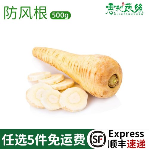 新鲜防风根欧洲萝卜品种 新鲜蔬菜parsnip法国西餐烘焙烤制食用