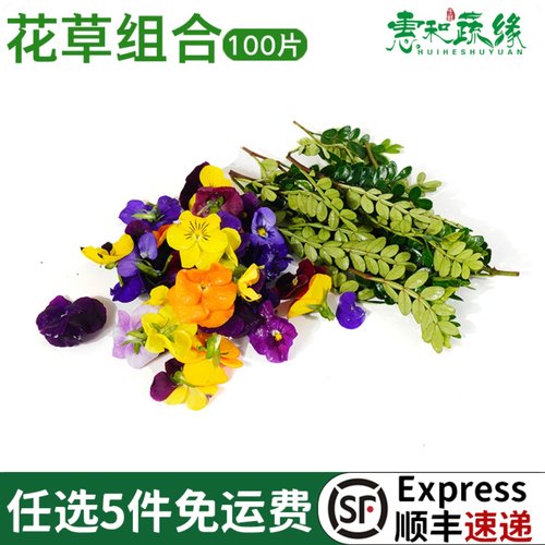 新鲜三色堇清香木叶子西餐酒楼蛋糕装饰饮品烘培摆盘点缀花草组合