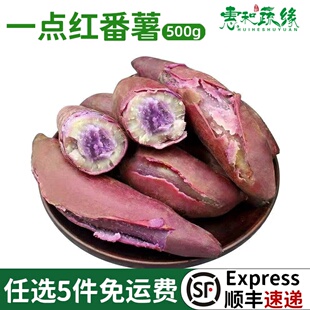 正宗广州南沙一点红番薯粉糯地瓜板栗新鲜冰淇淋番薯紫心薯特产