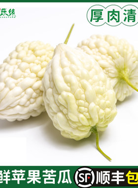 新鲜苹果苦瓜500g山东白玉水果苦瓜圆苦瓜微苦生吃蔬菜沙拉包邮