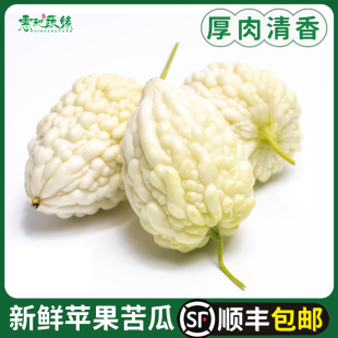 新鲜苹果苦瓜500g山东白玉水果苦瓜圆苦瓜微苦生吃蔬菜沙拉 包邮