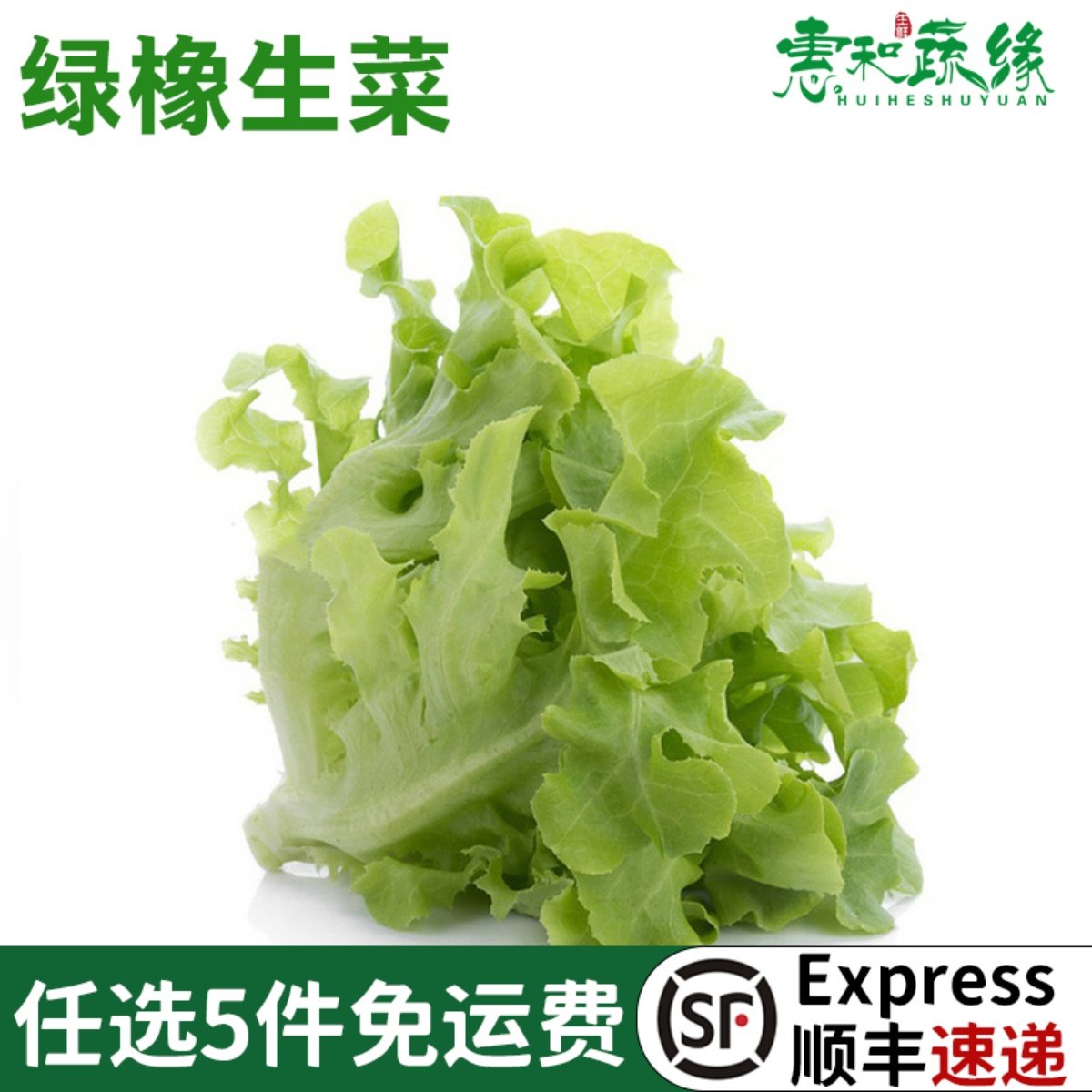 生菜新鲜沙拉西餐食材健身