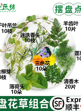 新鲜薄荷头清香木叶子鸡尾酒夏季饮品烘焙蛋糕摆盘装饰三色堇花草