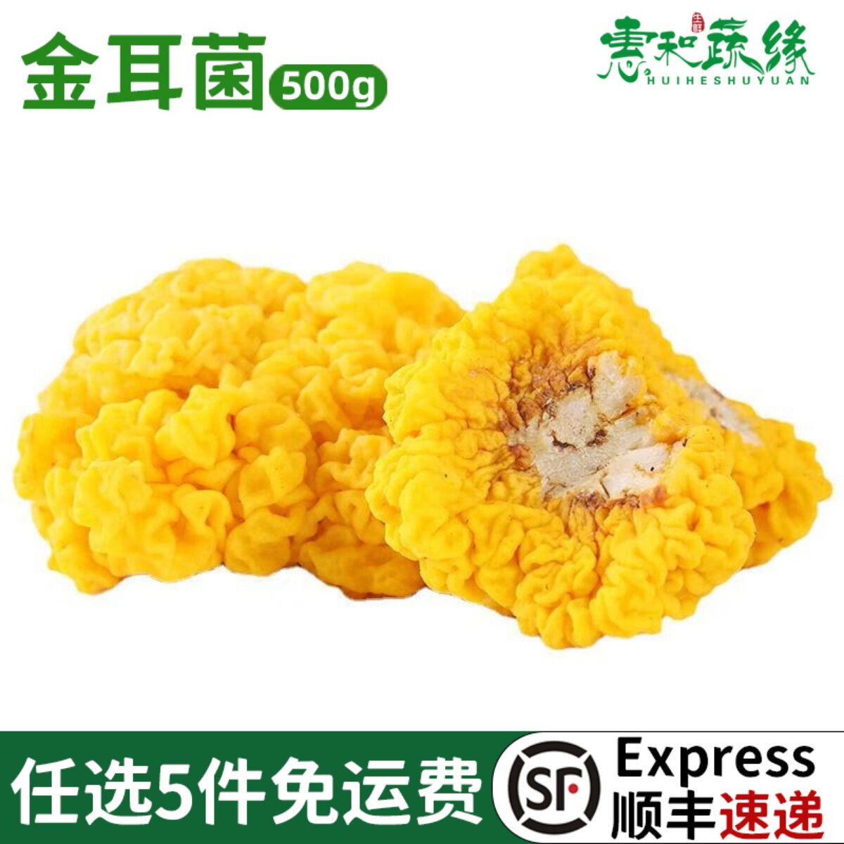 新鲜云南特产黄金耳菌500g非干货银耳菌食用菌菇刺身火锅煲汤食材