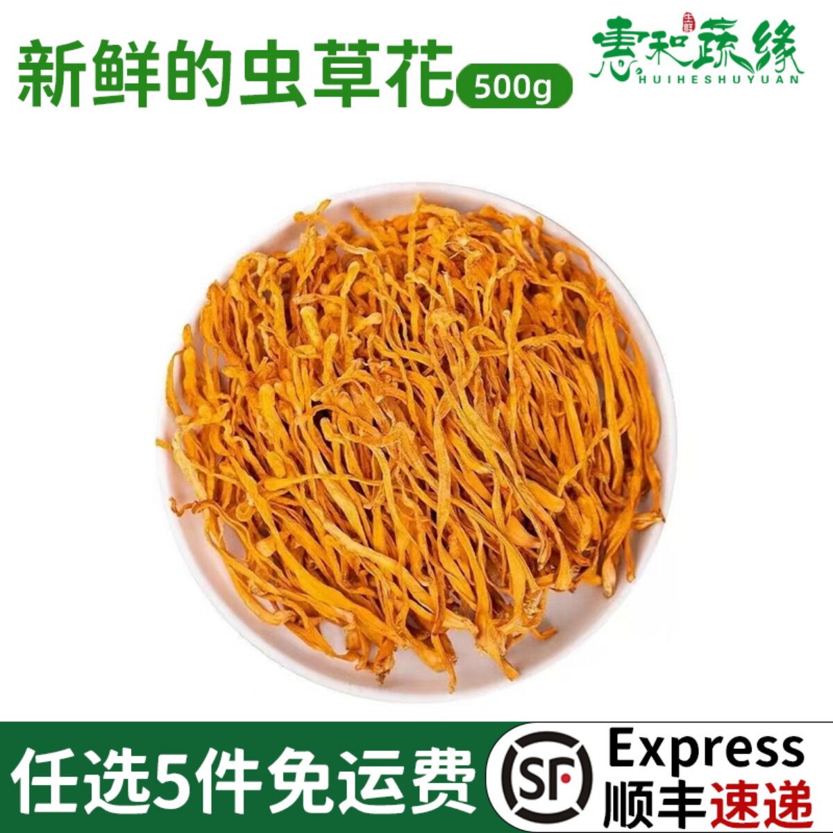 新鲜优质冬虫草500g一包广东
