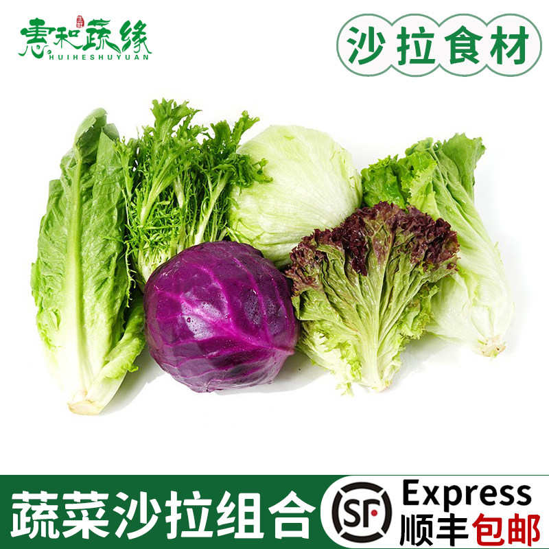 蔬菜沙拉组合4斤红叶苦菊罗马绿毛球生菜紫包菜混合套餐轻食食材