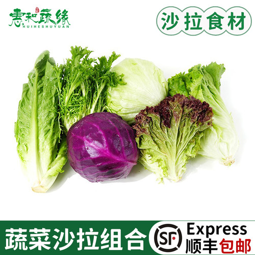 蔬菜沙拉组合4斤红叶苦菊罗马绿毛球生菜紫包菜混合套餐轻食食材