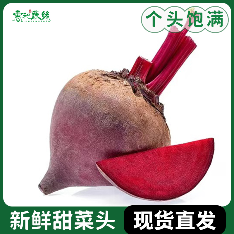 甜菜根新鲜甜菜头红菜头新鲜蔬菜