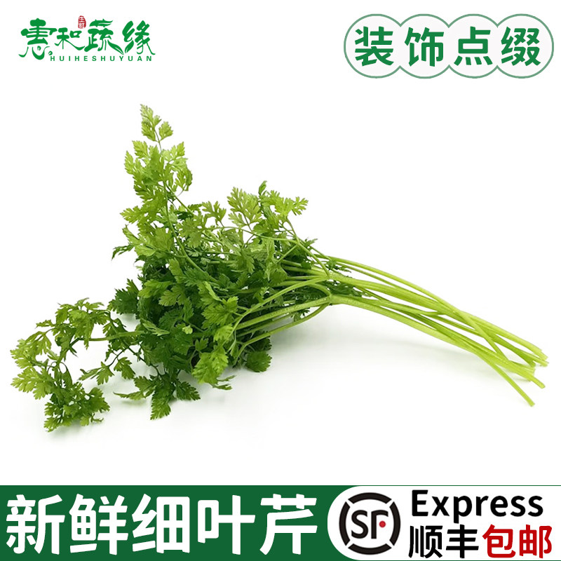 新鲜细叶芹 100g 西餐摆盘食用香叶芹有喙欧芹新鲜香料食用香叶芹