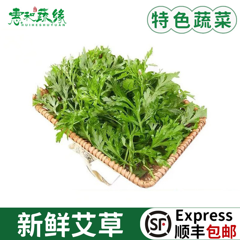 新鲜艾草现摘食用艾叶批发野菜青团糍粑清明果嫩艾叶艾蒿艾米果