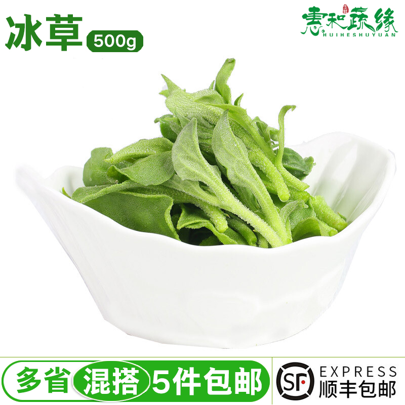 冰草新鲜蔬菜即食生吃非洲冰草沙拉蔬菜沙拉生菜健身1斤冰菜新鲜