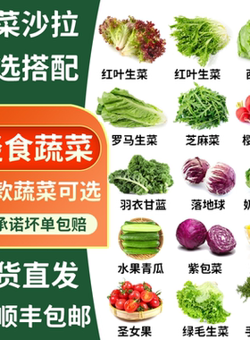 蔬菜沙拉轻食食材多选混合装红叶球生菜罗马芝麻菜苦菊羽衣甘蓝