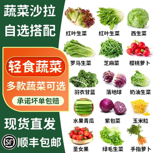 蔬菜沙拉轻食食材多选混合装红叶球生菜罗马芝麻菜苦菊羽衣甘蓝