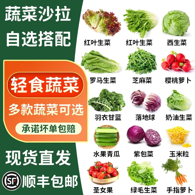 蔬菜沙拉轻食食材多选混合装红叶球生菜罗马芝麻菜苦菊羽衣甘蓝