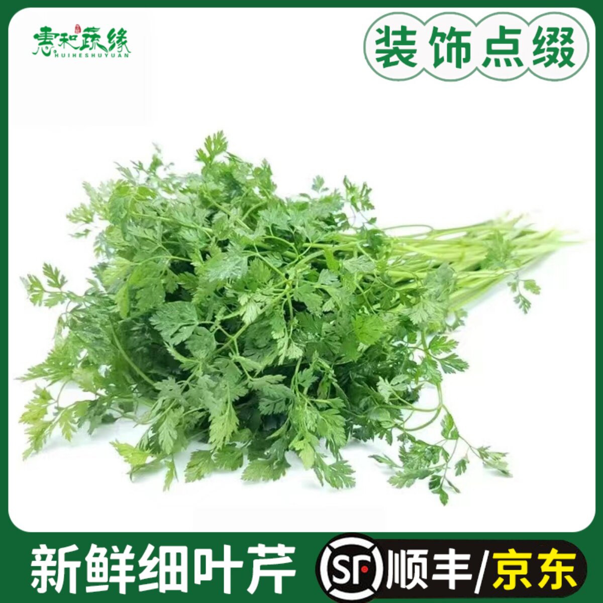 新鲜细叶芹 100g 西餐摆盘食用香叶芹有喙欧芹新鲜香料食用香叶芹