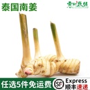 新鲜白皮南姜泰式 冬阴功食材调味调料香料菜高良姜生姜香料250g