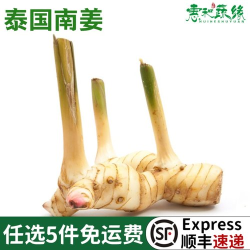 新鲜白皮南姜泰式冬阴功食材调味调料香料菜高良姜生姜香料250g - 封面