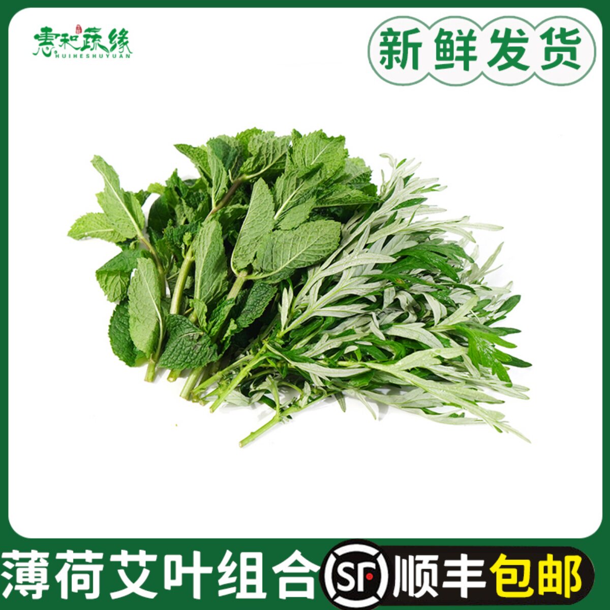 薄荷叶艾草组合新鲜清凉留兰香薄荷叶艾草叶套餐薄荷叶艾草膏食材