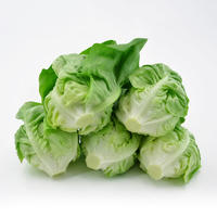 500g fresh cream lettuce, Boston vegetable salad, light Western cuisine, cold dish, raw ingredients, butter lettuce thumbnail 5