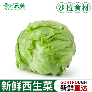 新鲜球生菜西餐蔬菜沙拉食材西生菜球形生菜球包菜汉堡包生菜包邮
