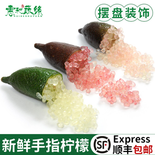 手指柠檬新鲜澳洲品种指橘鱼子酱拇指柠檬鲜果装饰西餐摆盘点缀