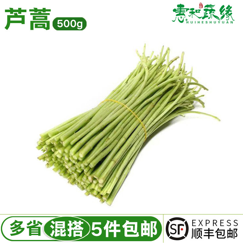 新鲜芦蒿蔬菜500g农家自种蓠蒿水蒿泥蒿藜蒿西餐沙拉顺丰绿色