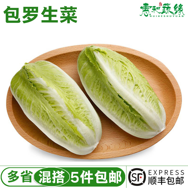 新鲜包罗生菜包心罗纹包心罗马蔬菜沙拉生菜500g即食绿色西餐沙拉