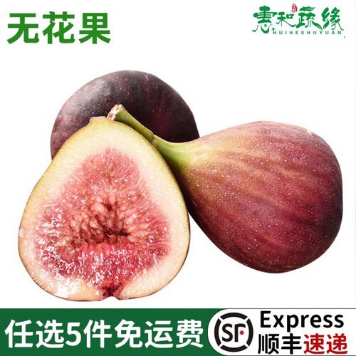无花果新鲜红皮甜糯顺丰当季孕妇
