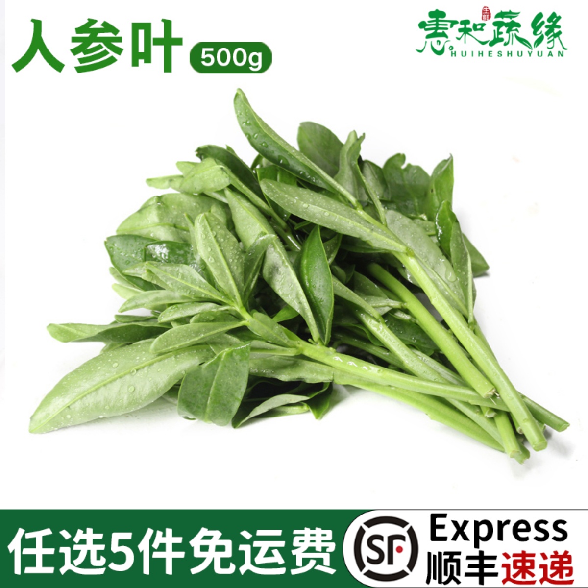 新鲜人参野菜农庄煲汤火锅特色