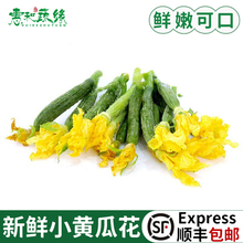新鲜小黄瓜花水果黄瓜迷你小黄瓜小嫩水果黄瓜顶花西餐厅新鲜蔬菜