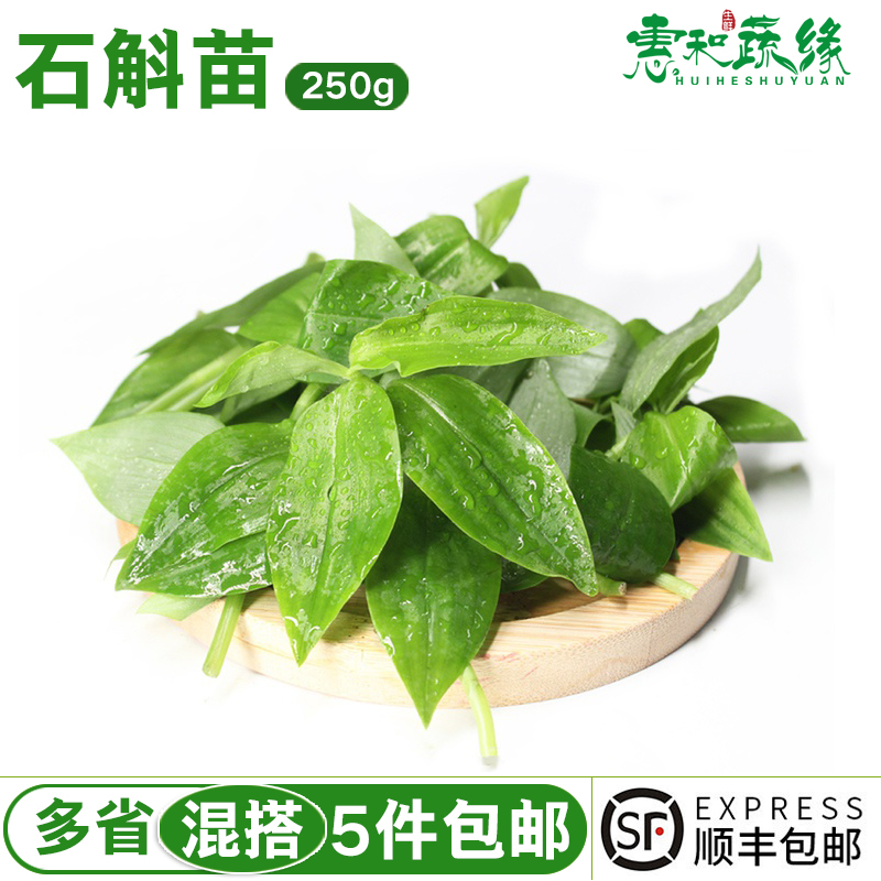 石斛苗新鲜蔬菜煲汤清炒时令蔬菜250g