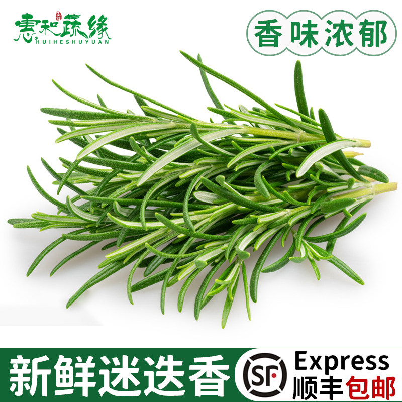 迷迭香新鲜煎牛排用西餐食用香料菜烧烤烘焙摆调味盘装饰迷失迷迪
