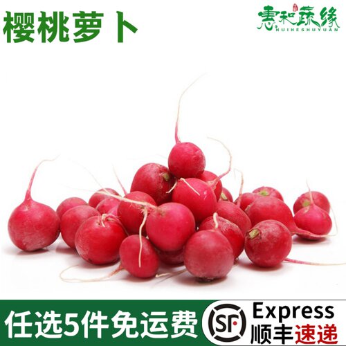 新鲜樱桃萝卜沙拉蔬菜食材红萝卜