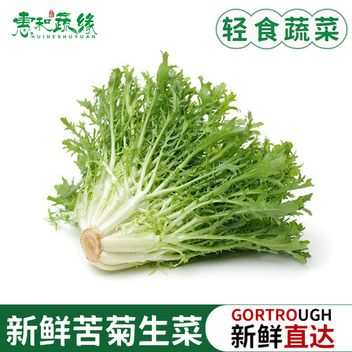 新鲜苦菊生菜苦细叶生菜西餐轻食蔬菜沙拉食材苦苣狗牙菜苦细叶菜