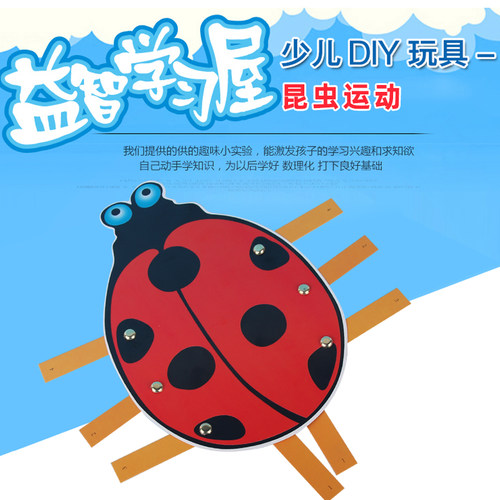 diy昆虫拼装材料包科技小制作